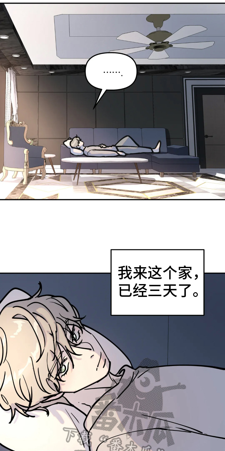 第9章：带回家13