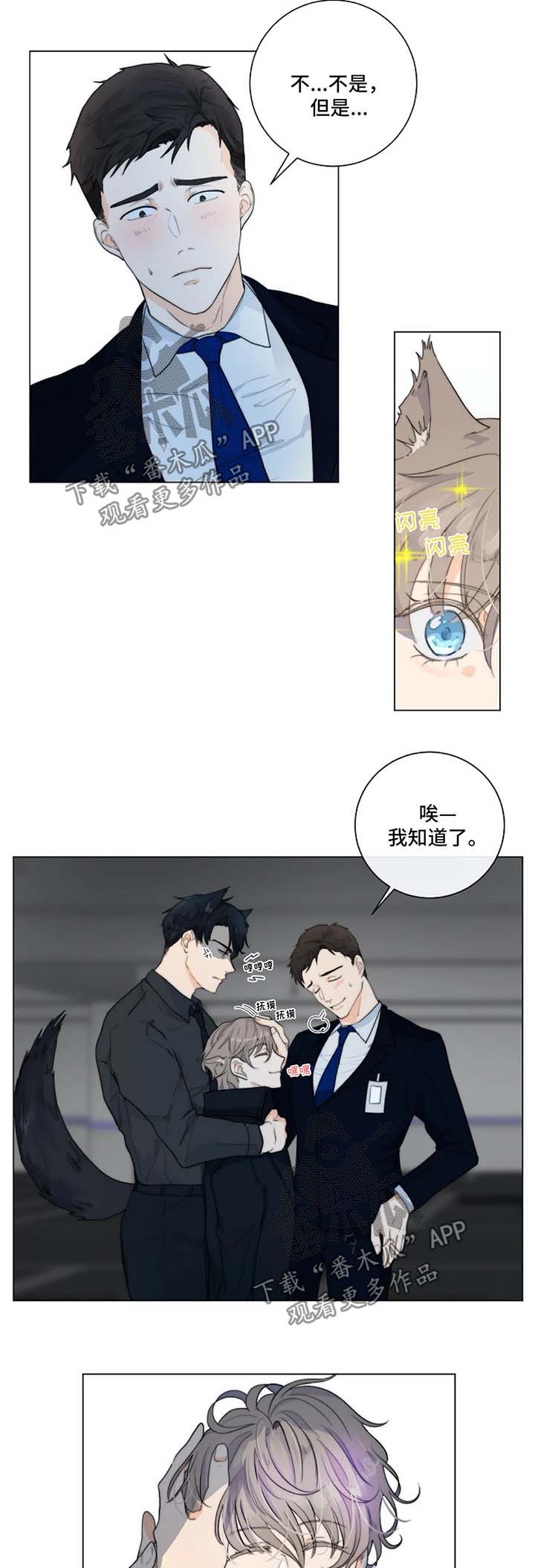 第17章：针锋相对6