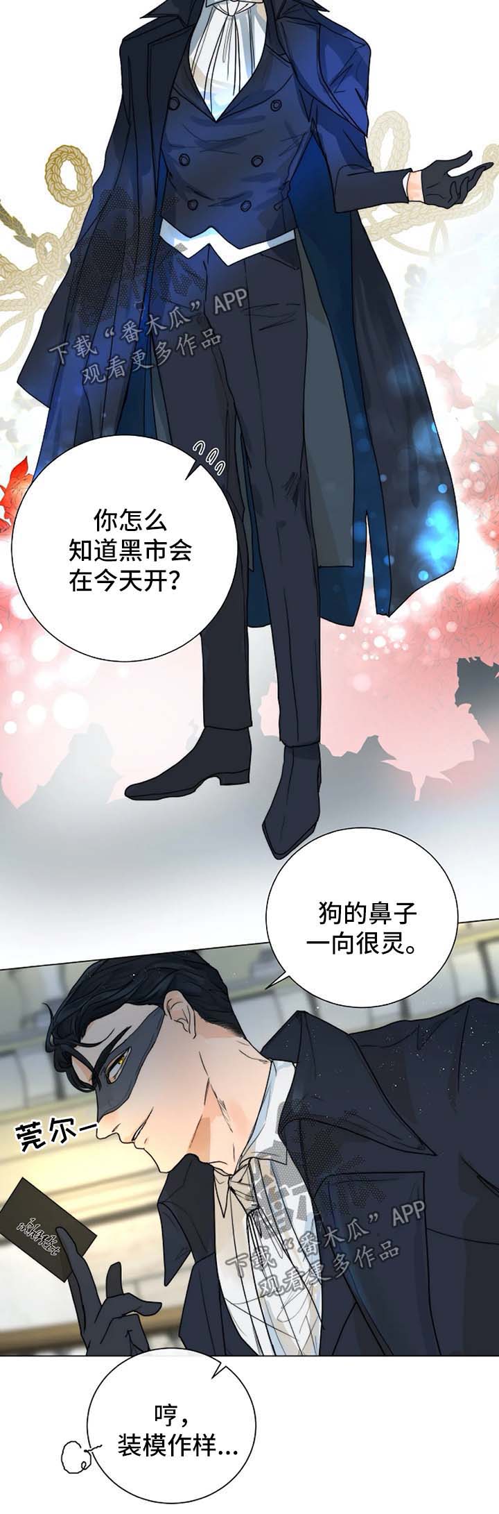 第36章：进入黑市1