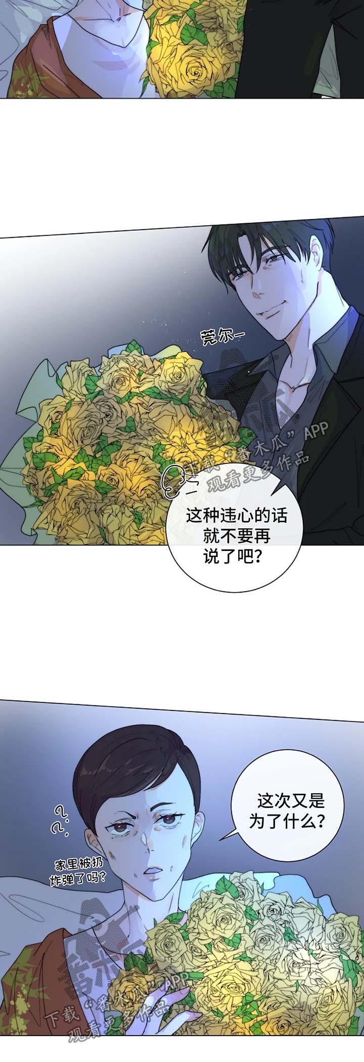 第29章：未知的结局1