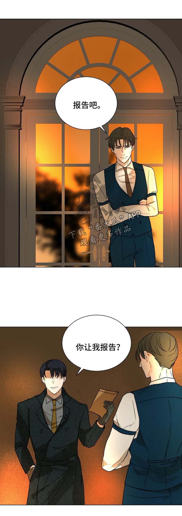 第51章：汇报报告0