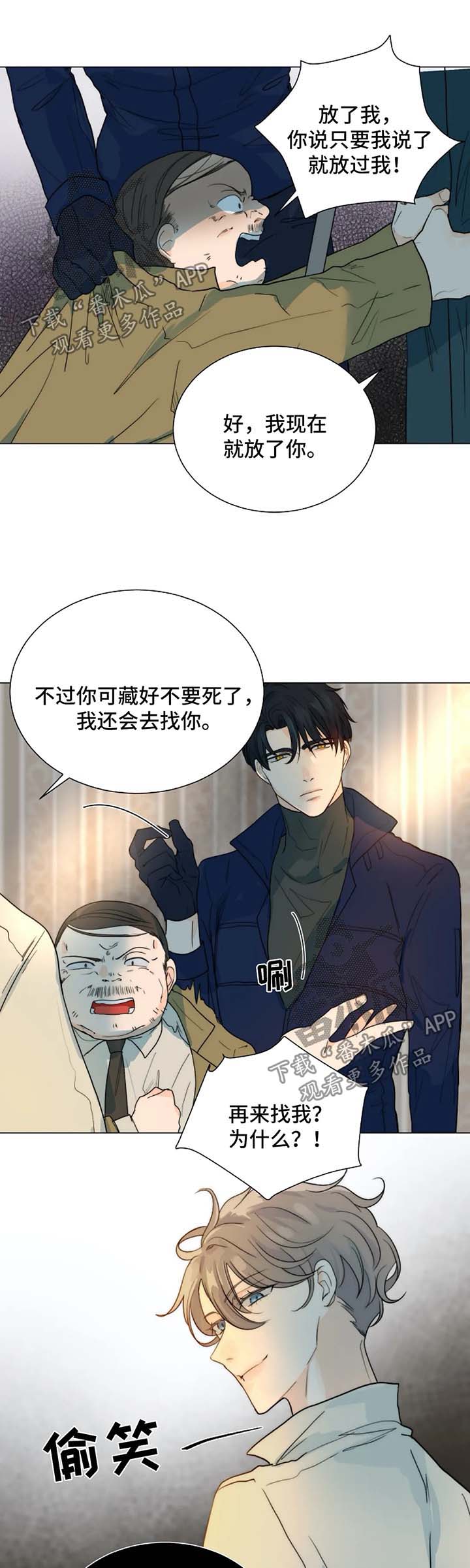 第48章：真相3