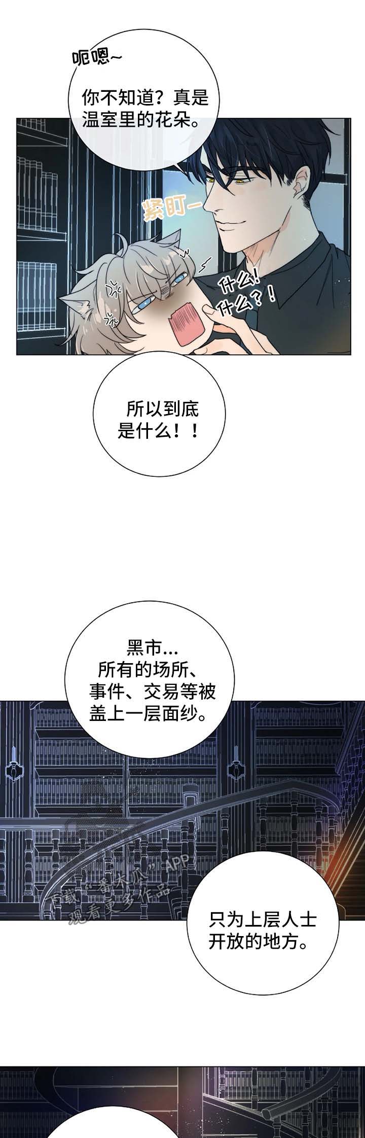 第35章：账本8