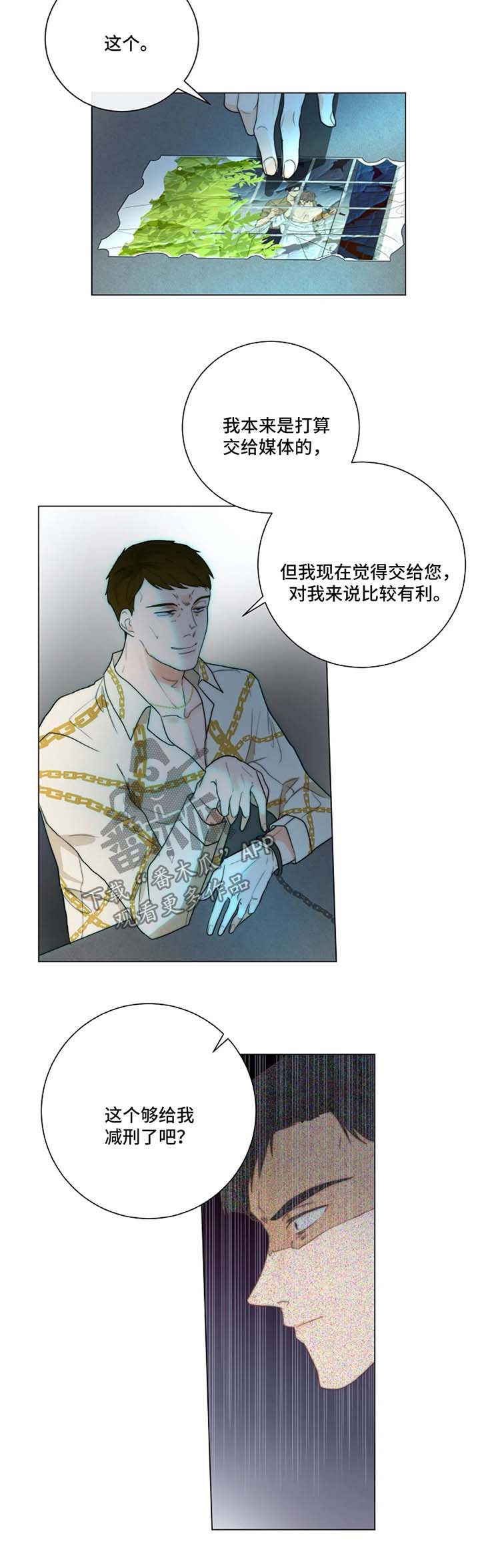 第18章：照片10