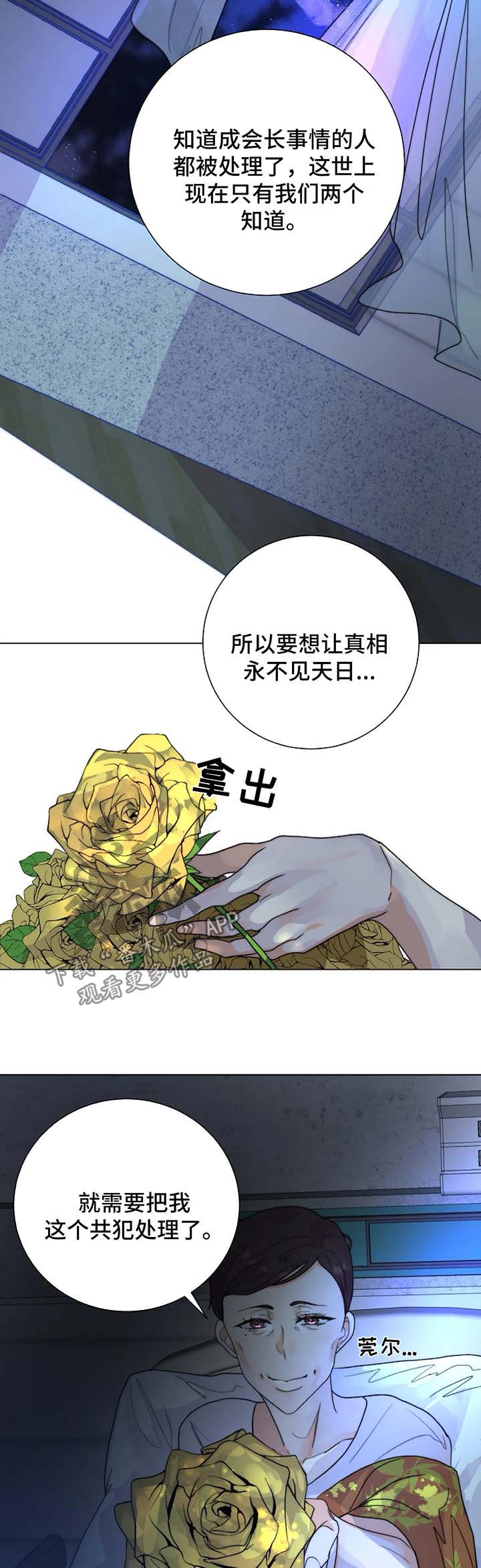 第29章：未知的结局6
