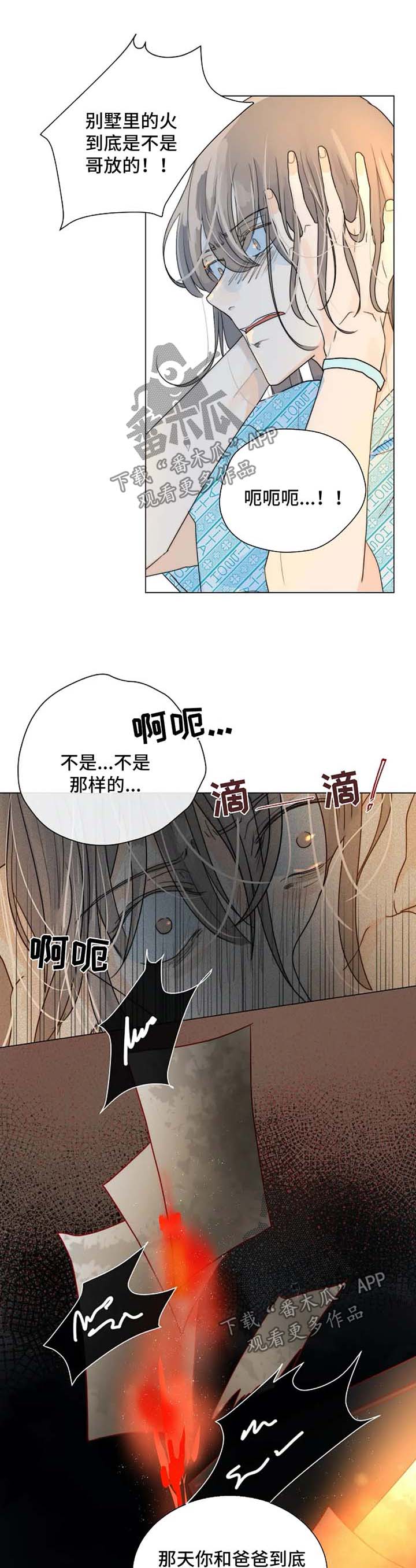 第50章：急性子0