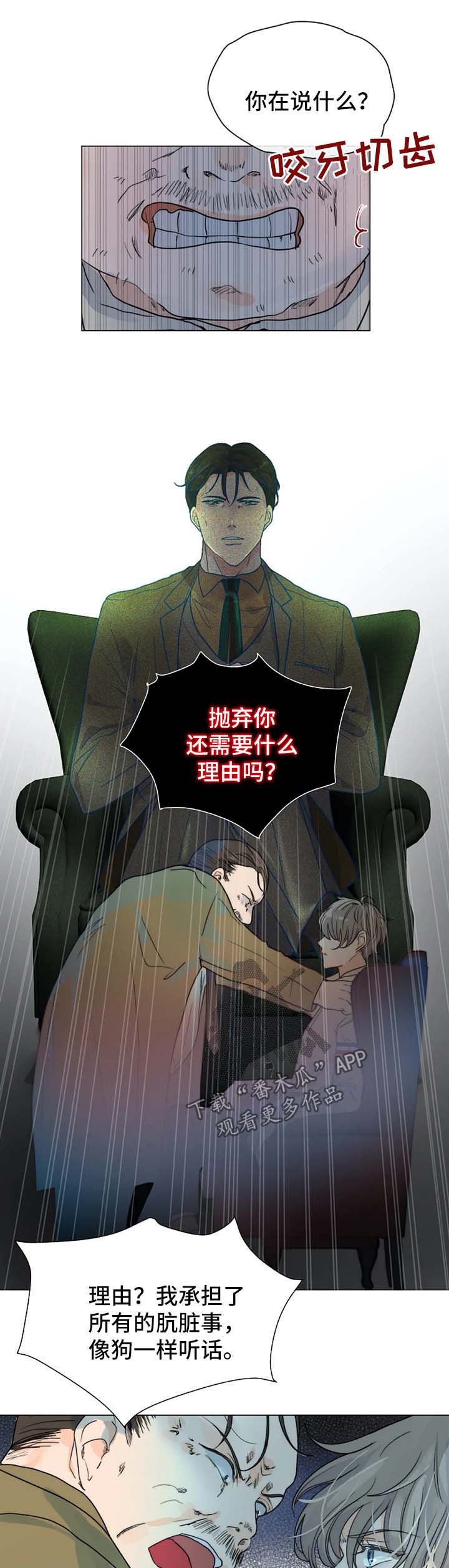 第45章：咬人的狗7