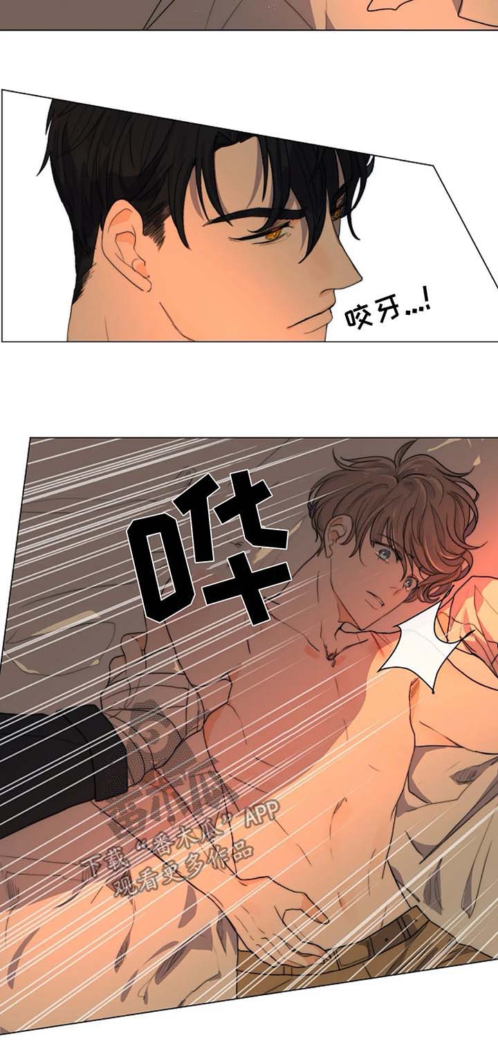 第21章：木偶12