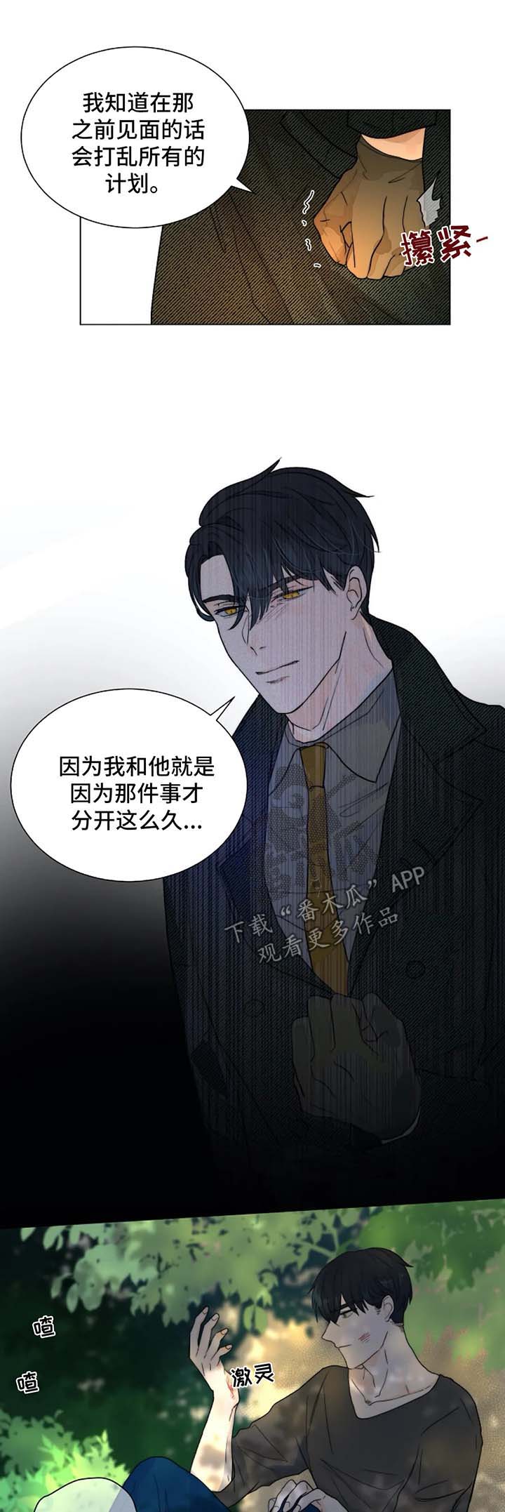 第51章：汇报报告6