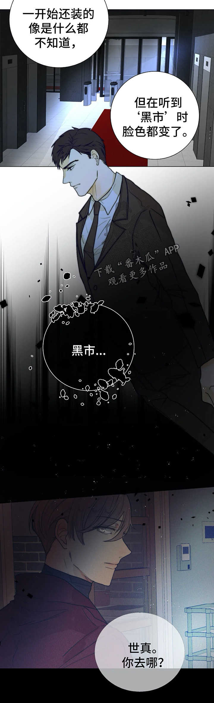 第33章：黑市13