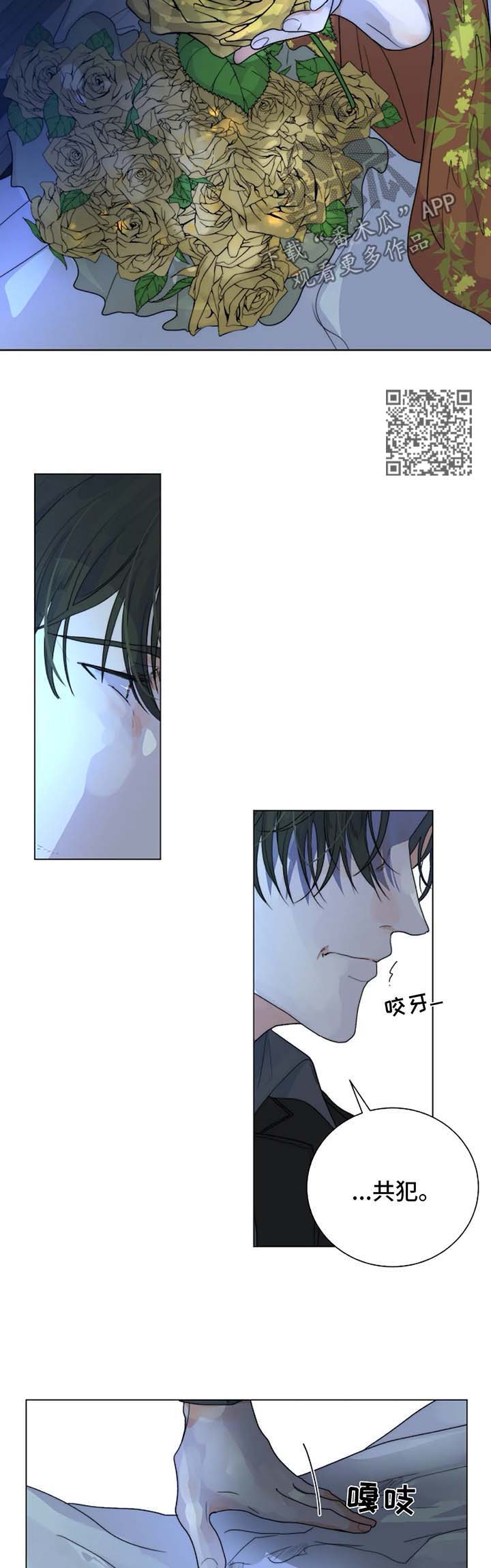 第29章：未知的结局7