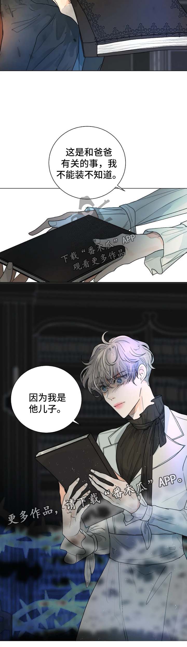 第35章：账本6