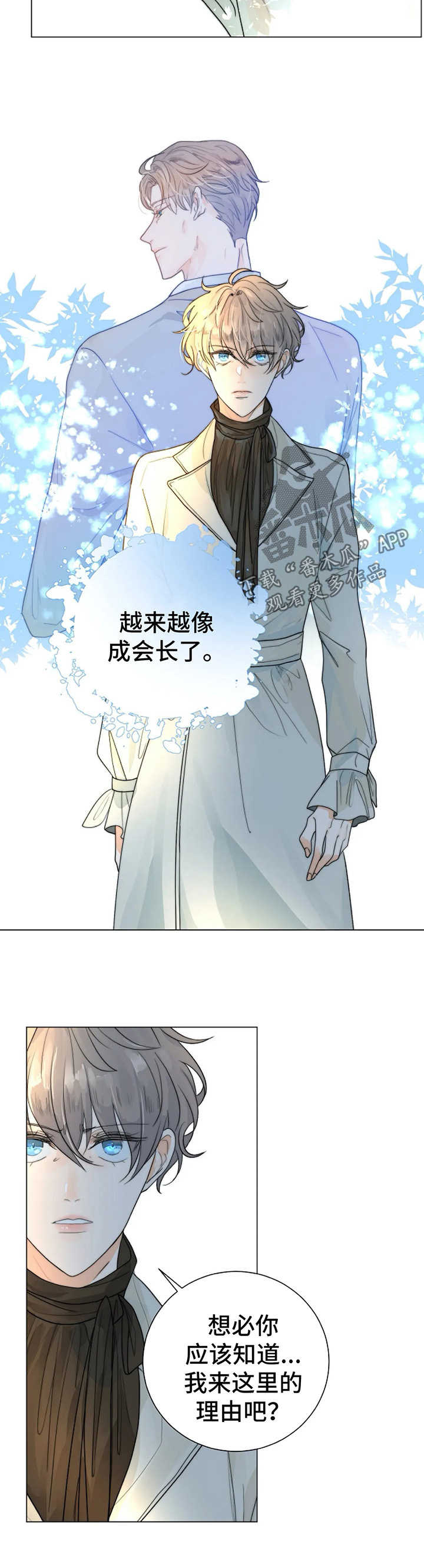 第31章：理由3