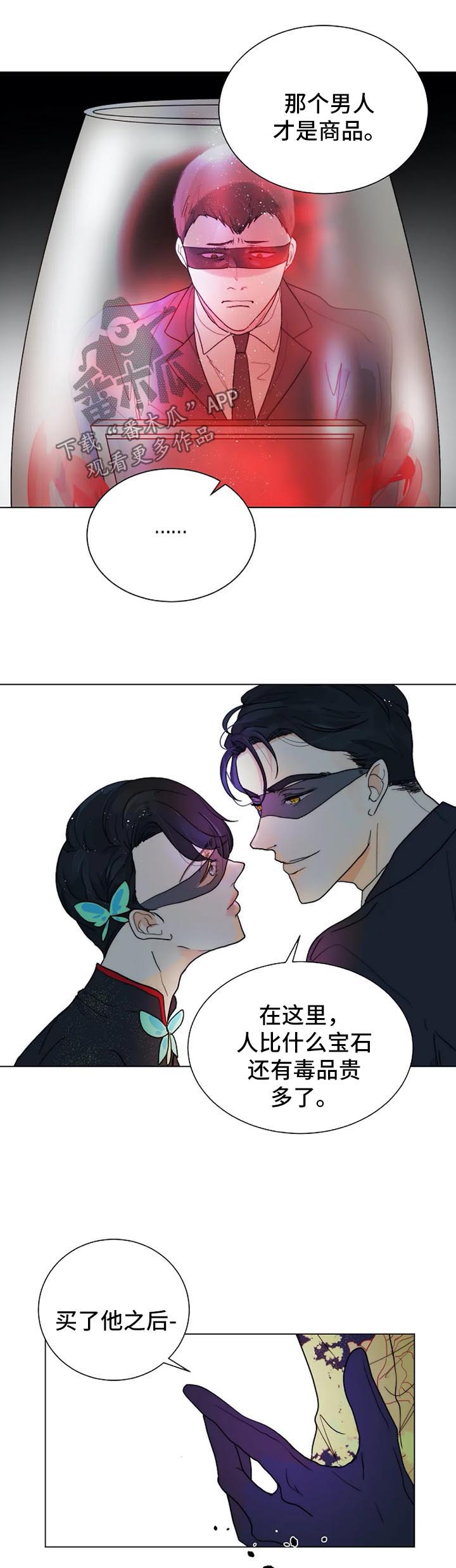 第37章：黑暗拍卖会10