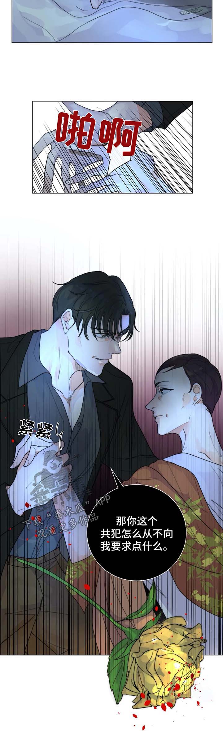 第29章：未知的结局8
