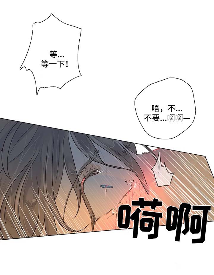 第24章：脑海里只有我5