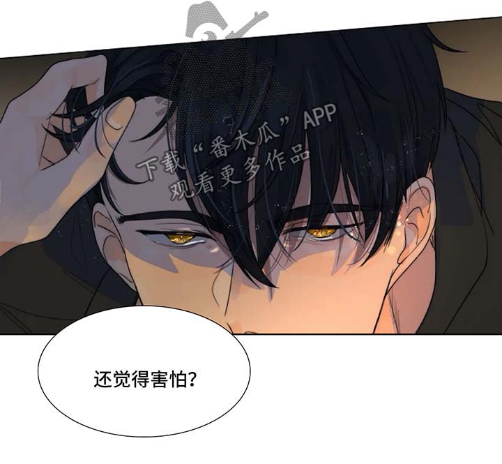 第23章：害怕7