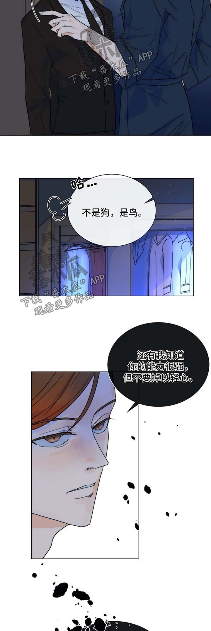 第43章：狗急跳墙9