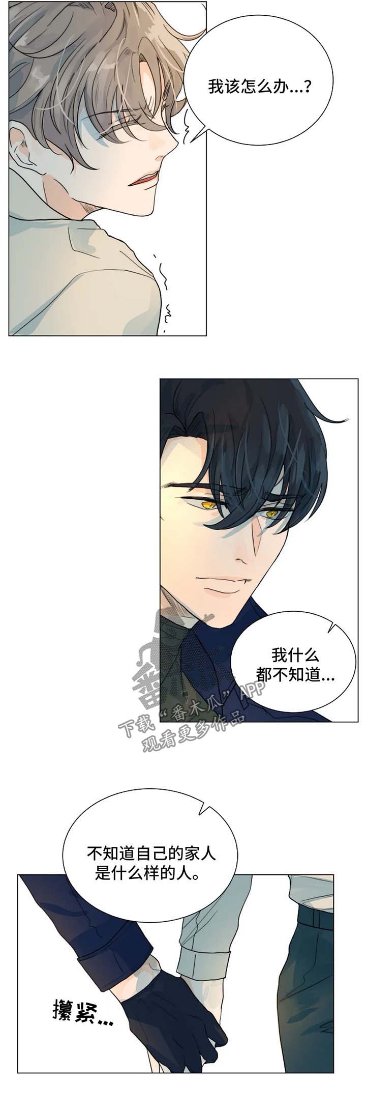 第48章：真相10