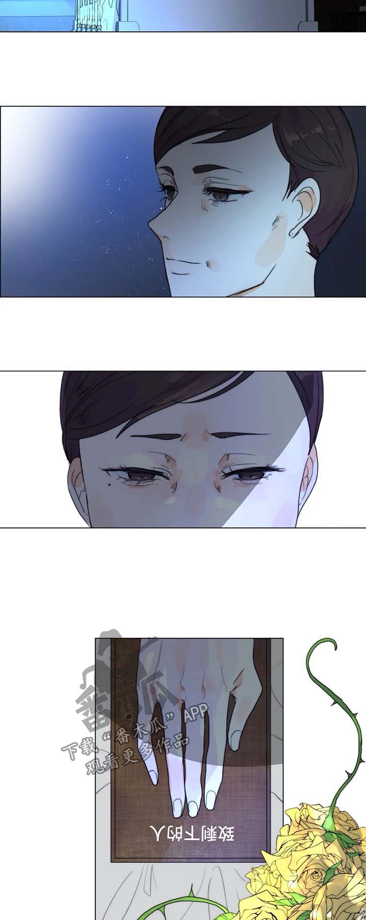 第29章：未知的结局12