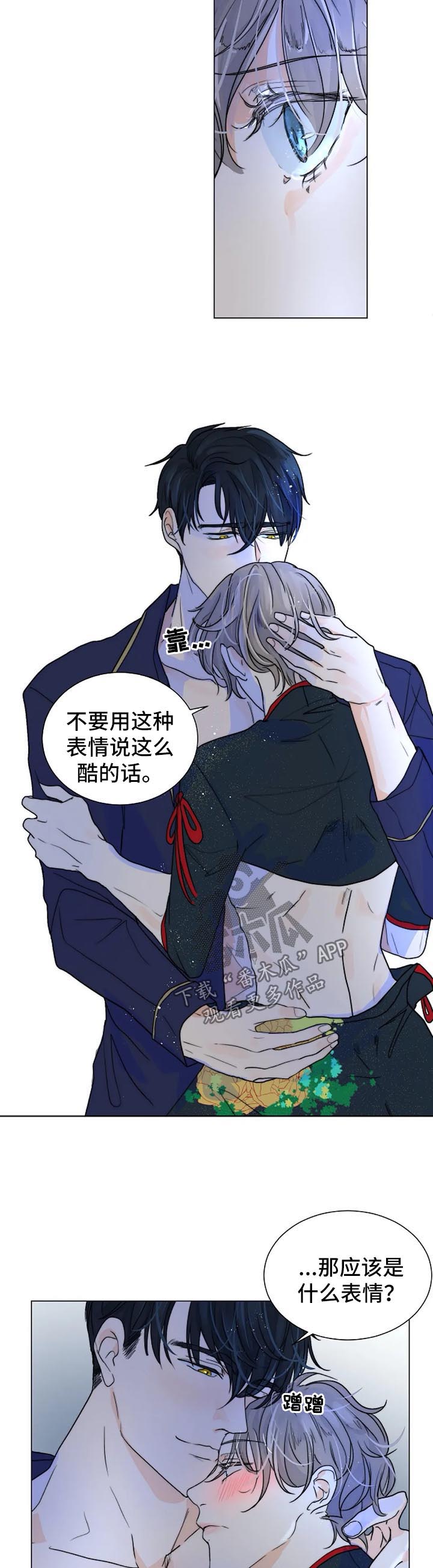第40章：代替品6