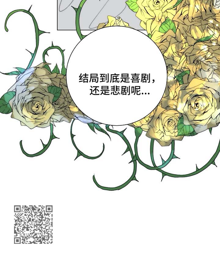 第29章：未知的结局13