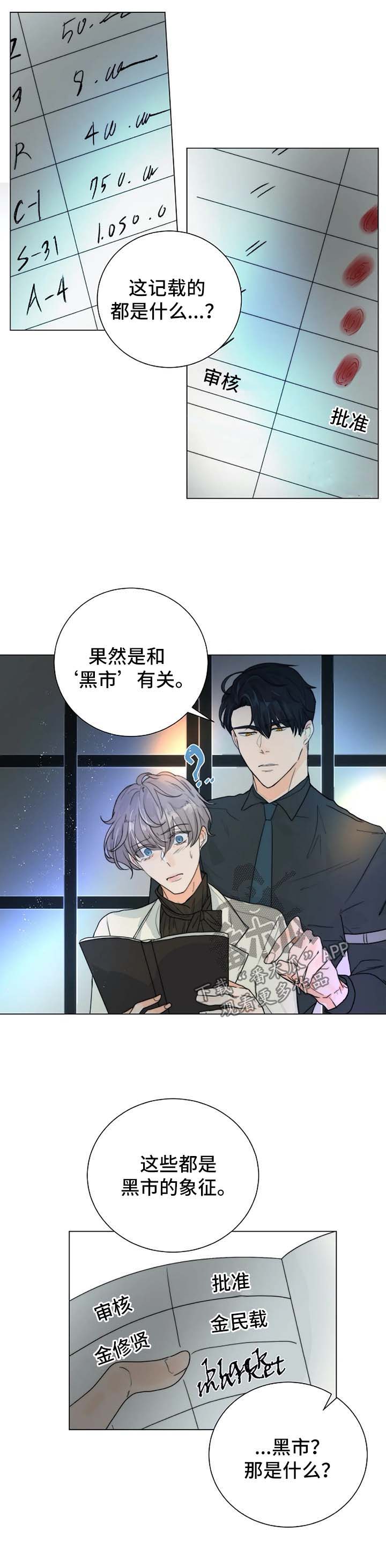 第35章：账本7