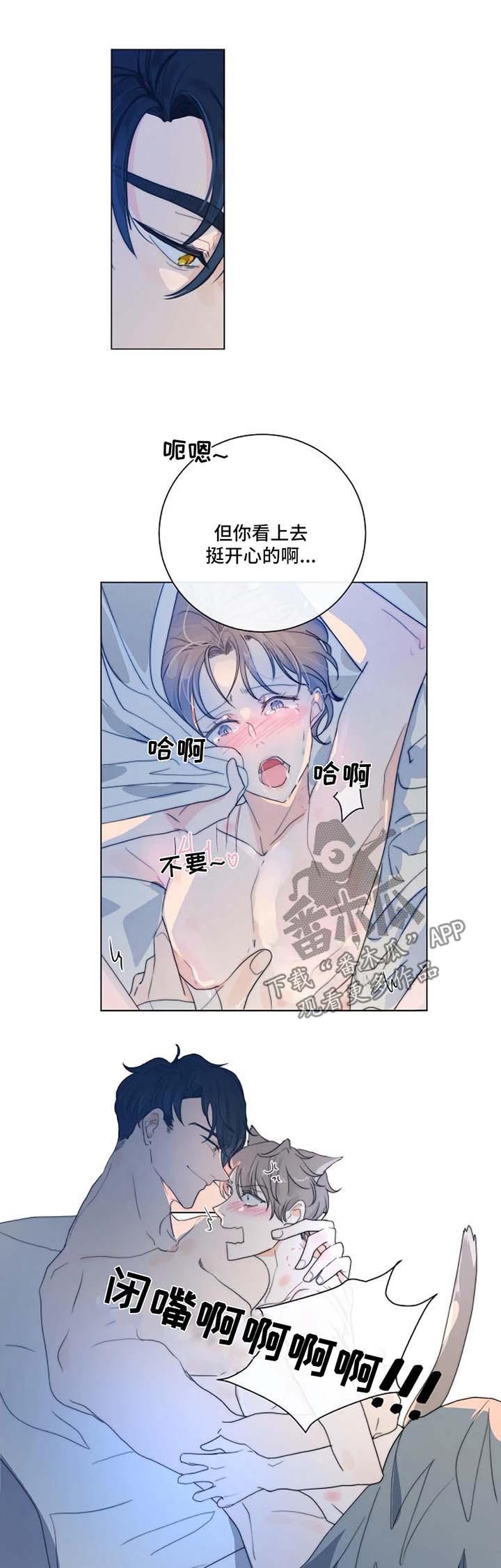 第25章：一只听话的狗11