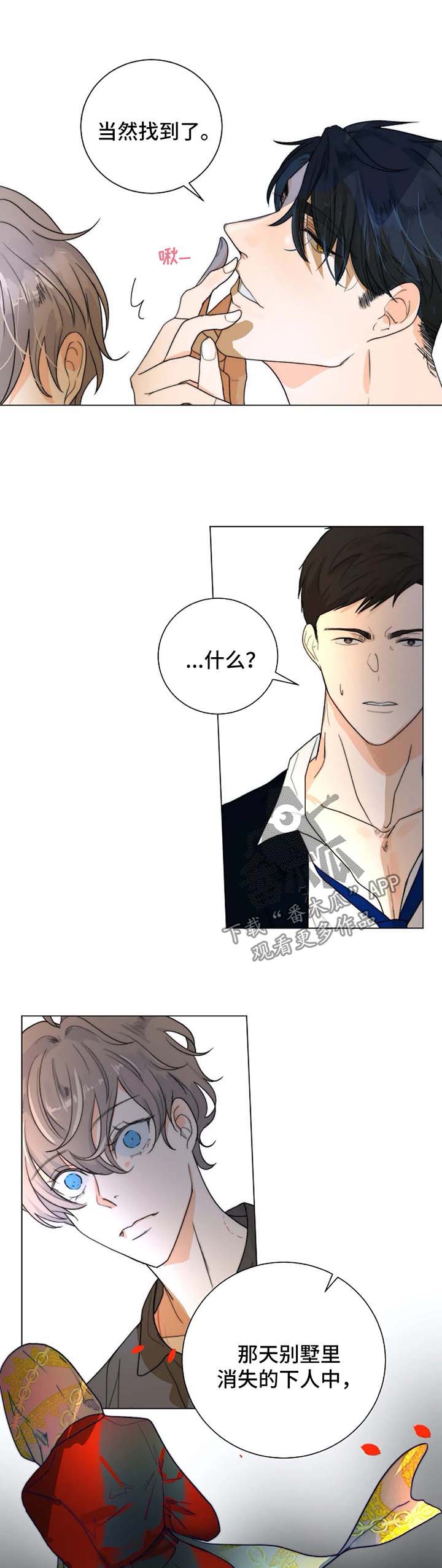 第28章：找到6