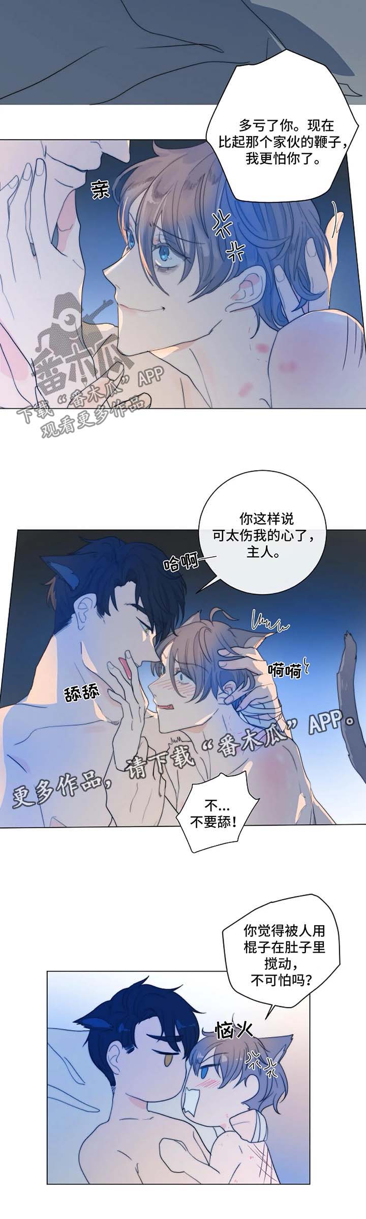 第25章：一只听话的狗10