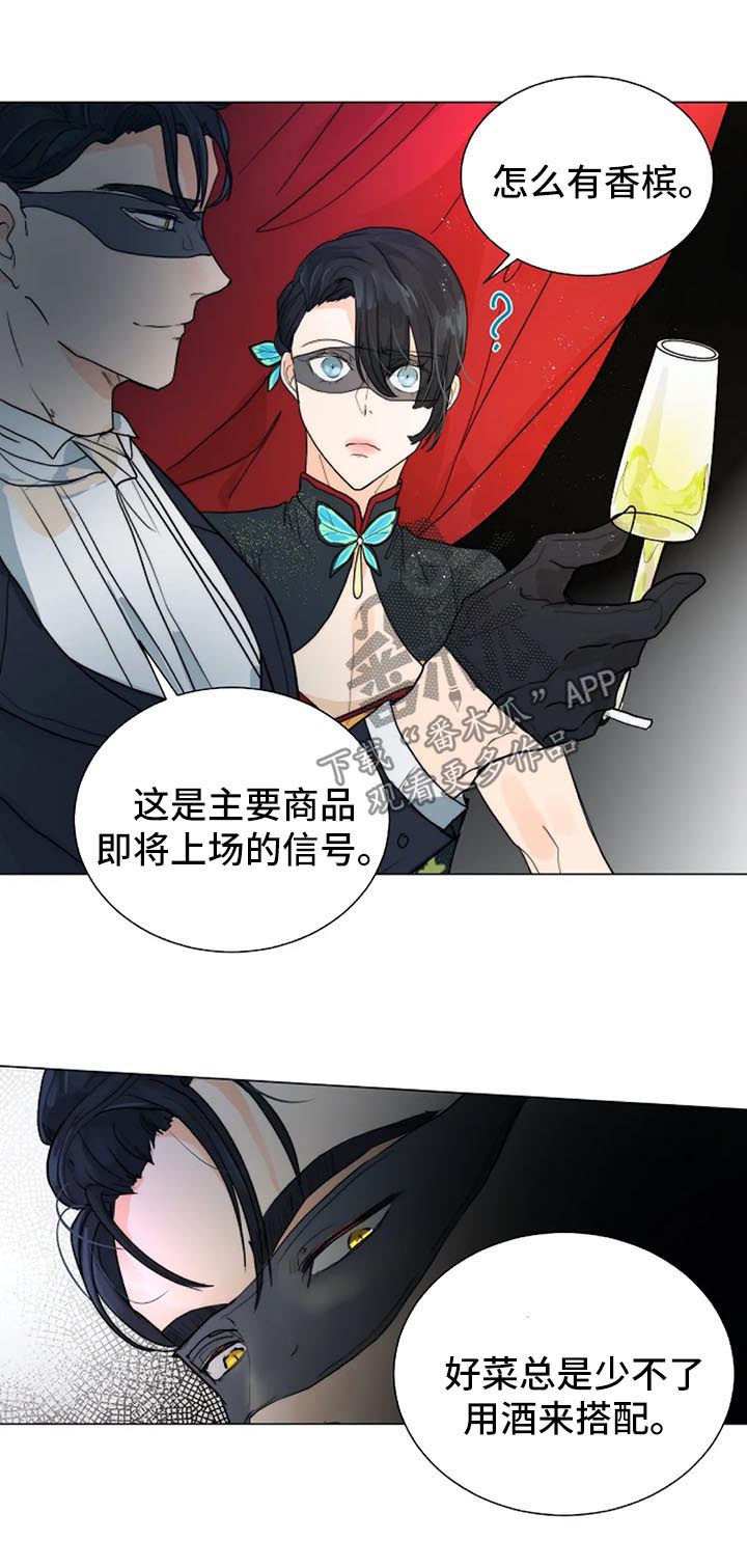 第37章：黑暗拍卖会4