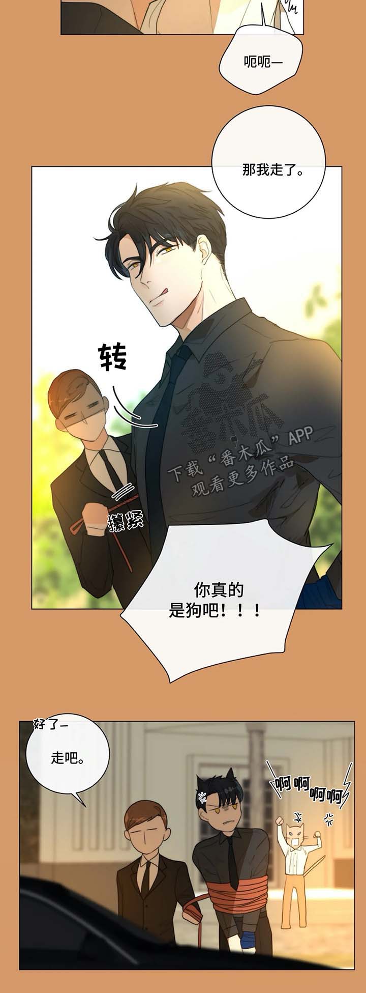 第19章：去医院5