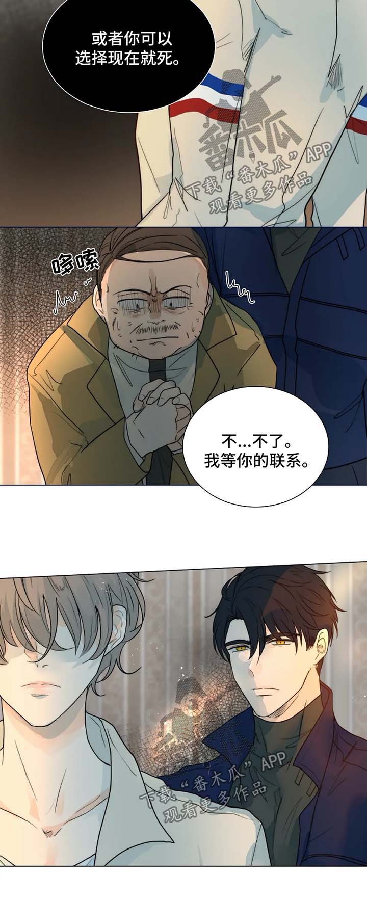 第48章：真相4