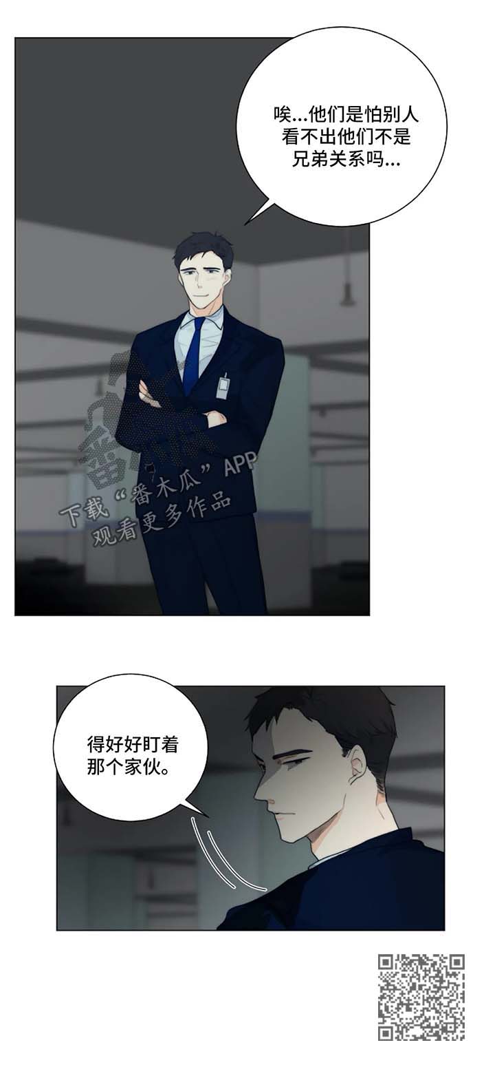 第17章：针锋相对10