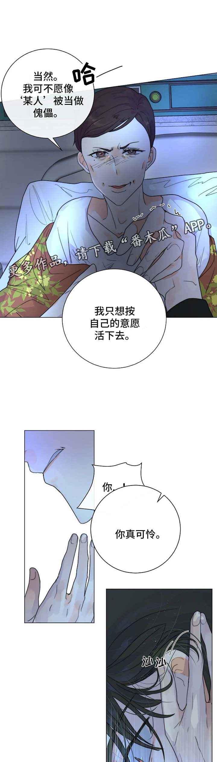 第29章：未知的结局9