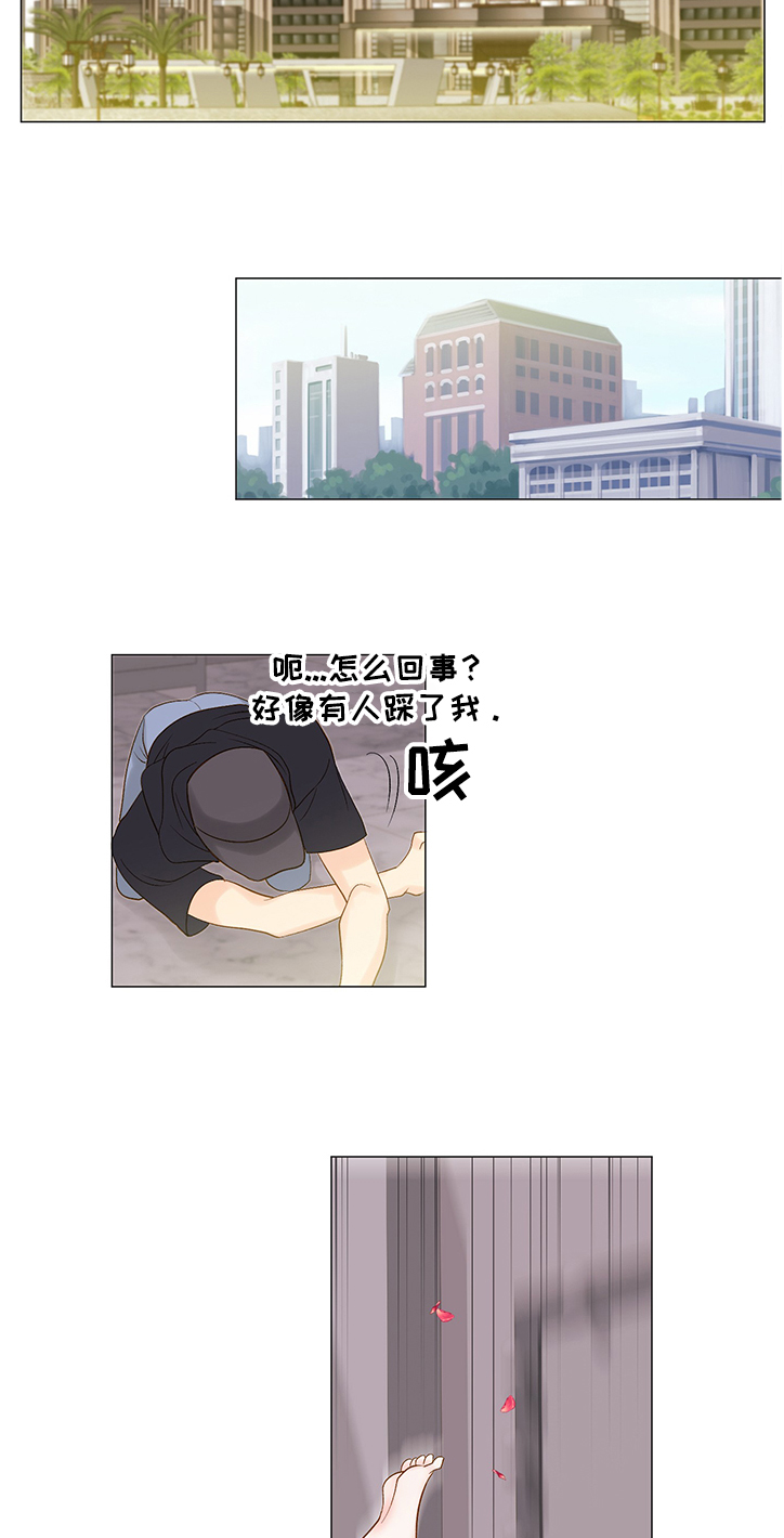 第57章：他选择的是我8