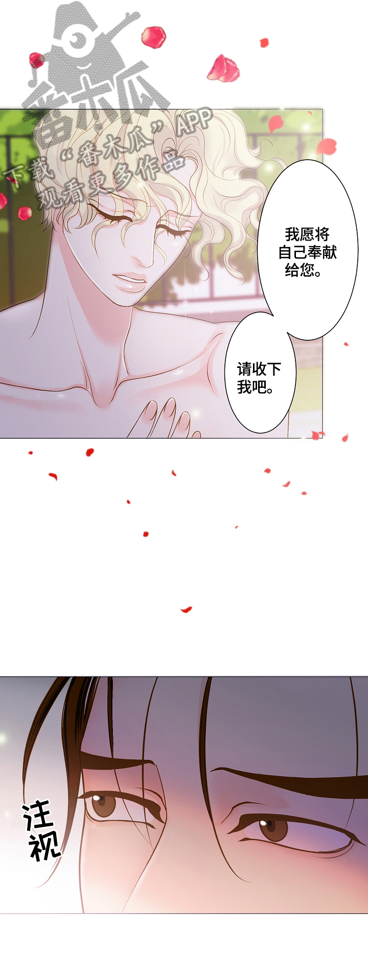 第2章：自行理解0