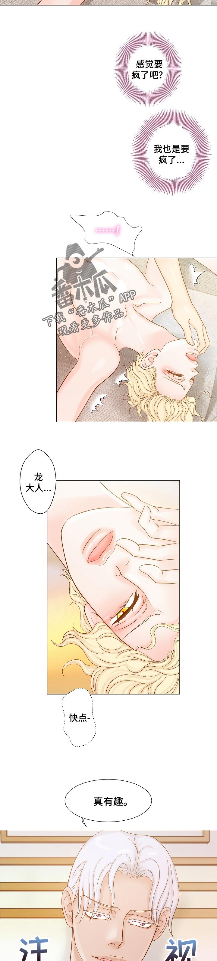 第19章：感受5