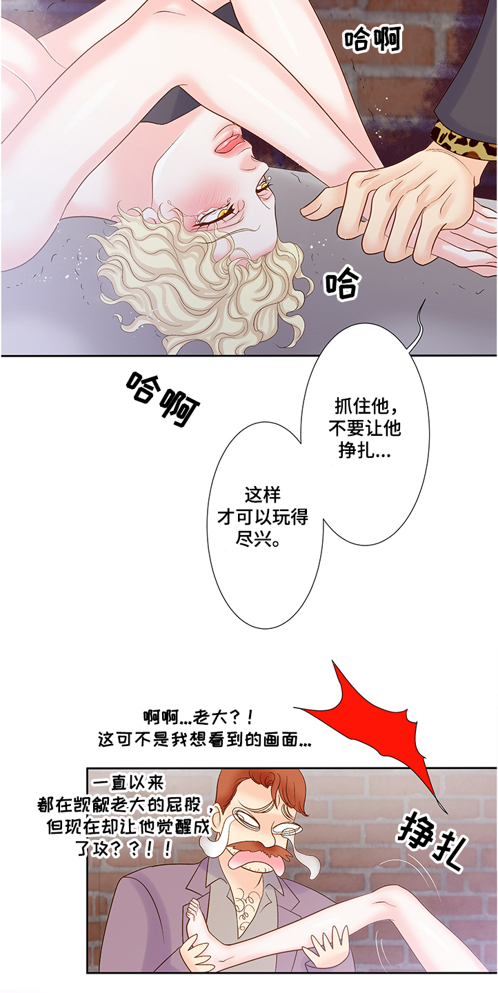 第66章：到底发生了什么15