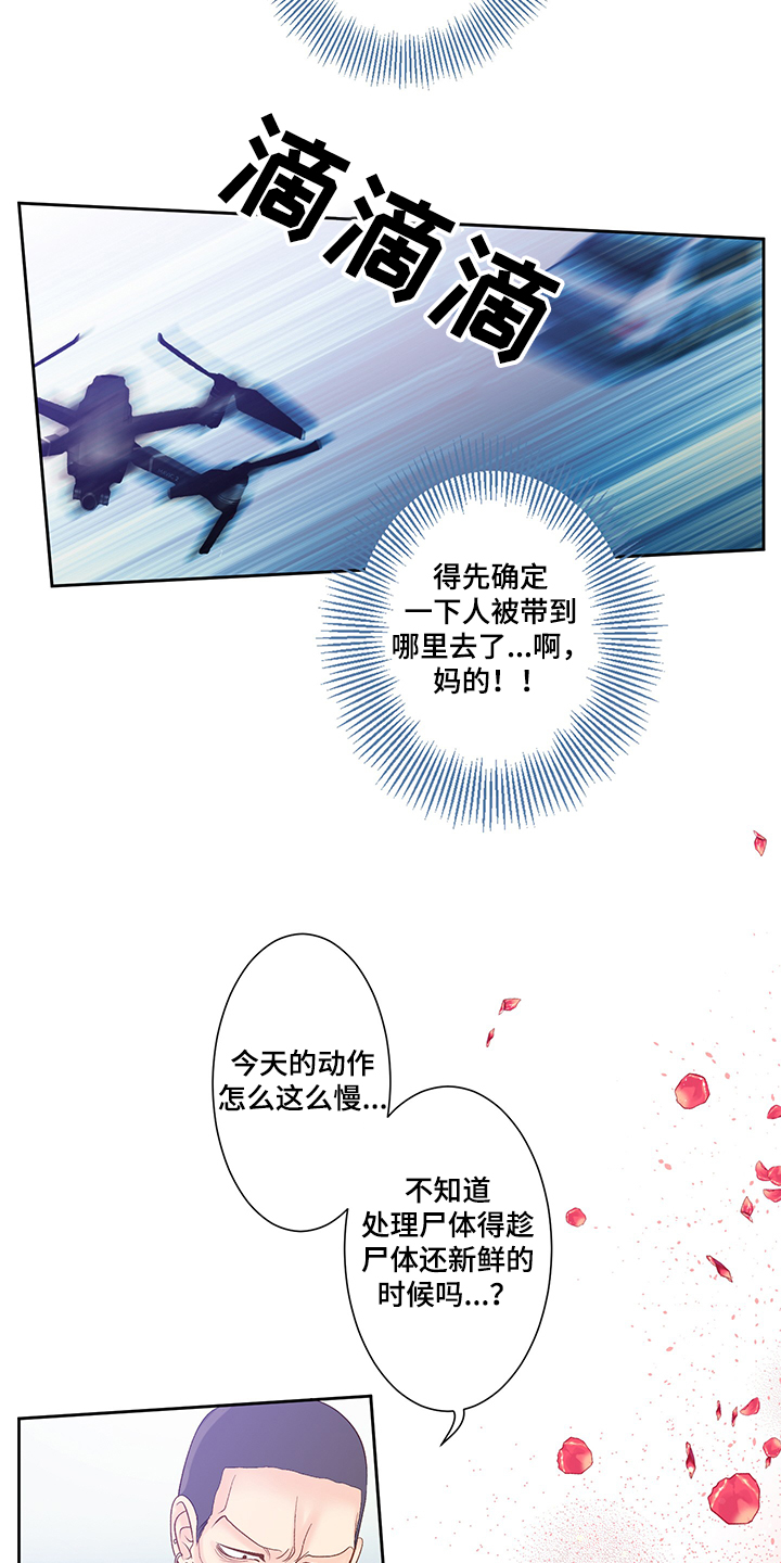 第65章：黑社会12
