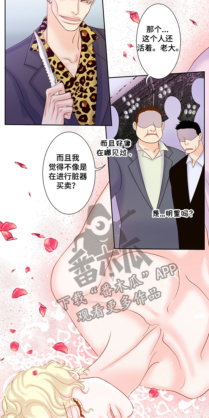 第65章：黑社会13