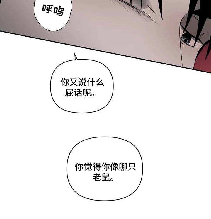 第78章：老鼠12