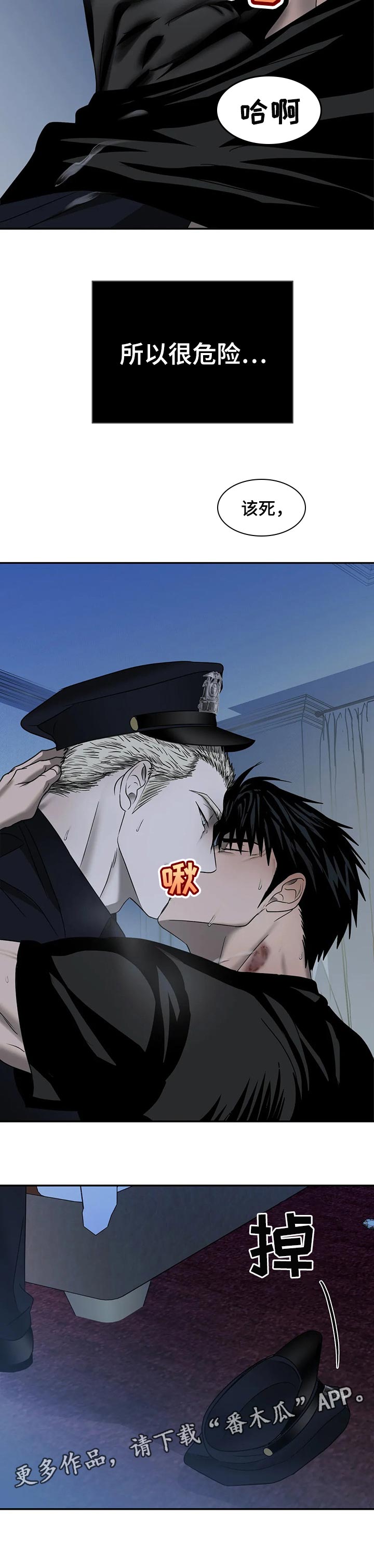 第55章：原则8