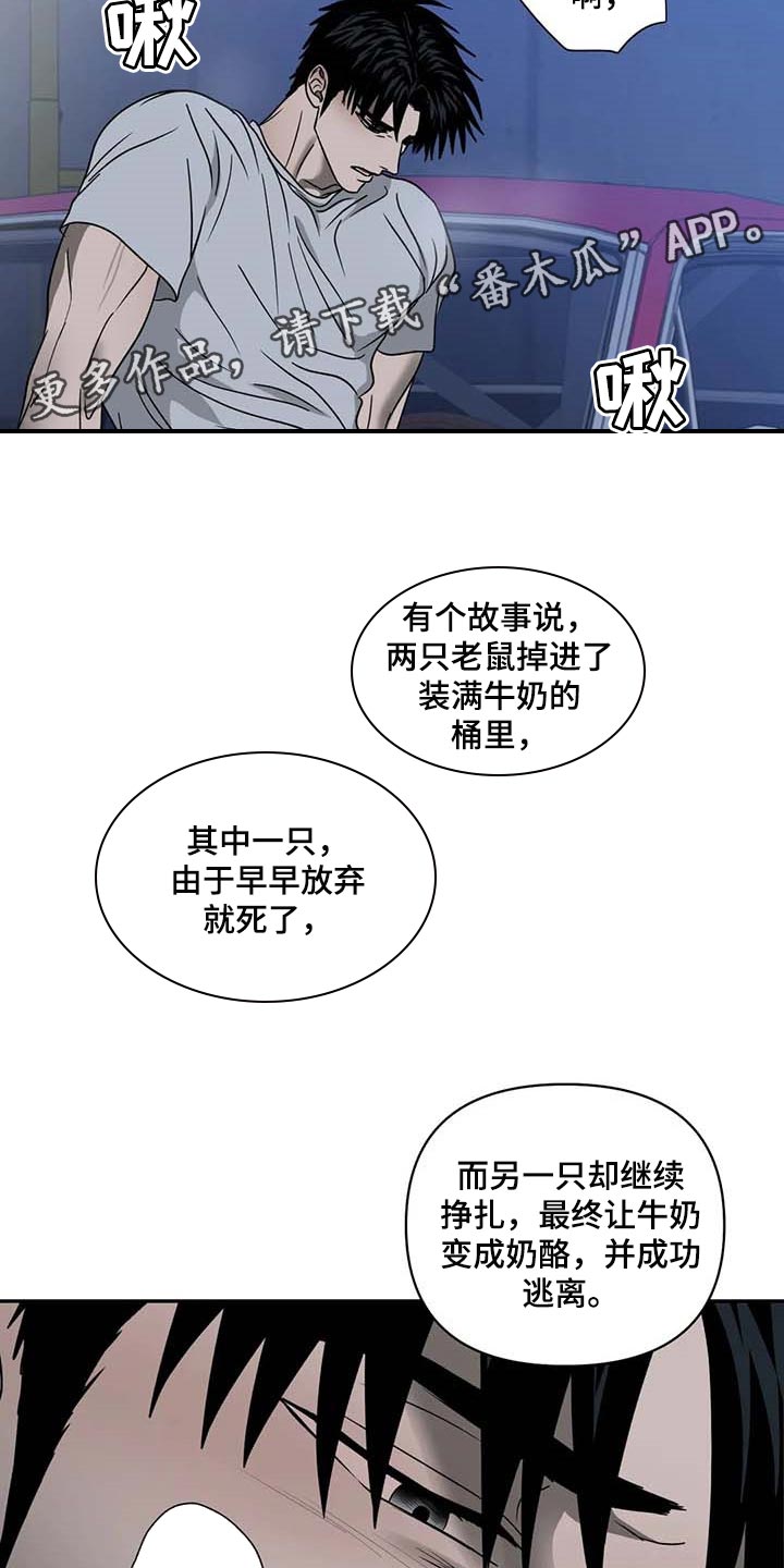 第78章：老鼠11