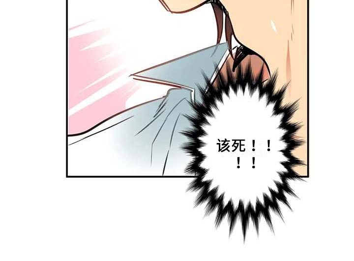 第6章：提议14