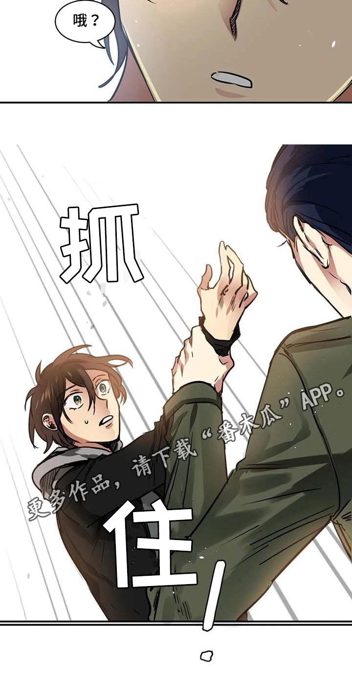 第20章：建议15