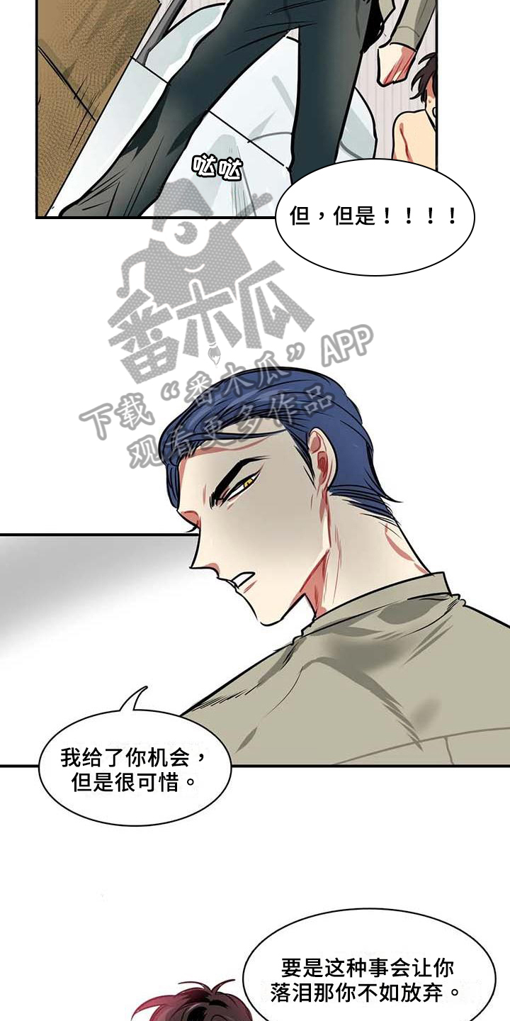 第11章：赌约13
