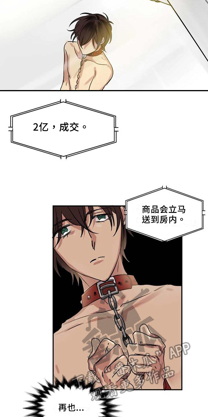 第18章：改主意14