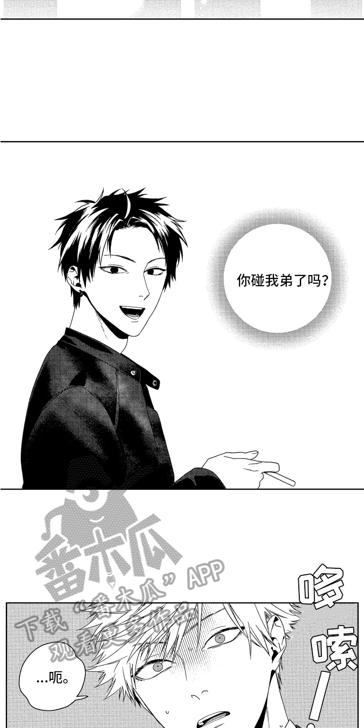 第10章：看法5