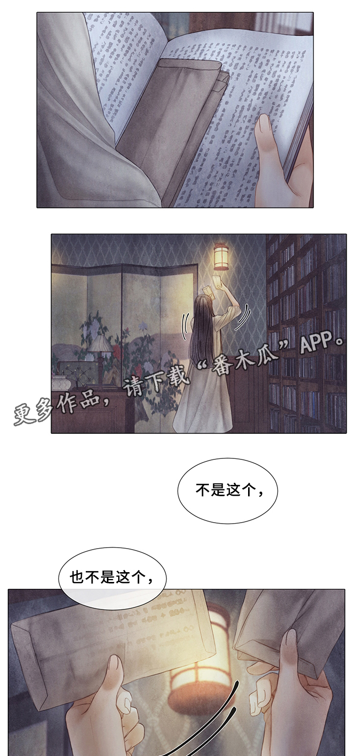 第52章：新的秘密10